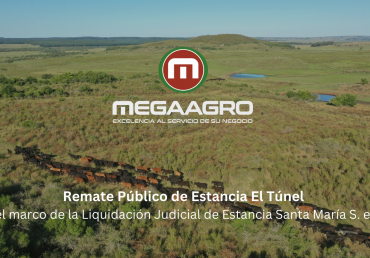 Remate Público – Est. El Túnel