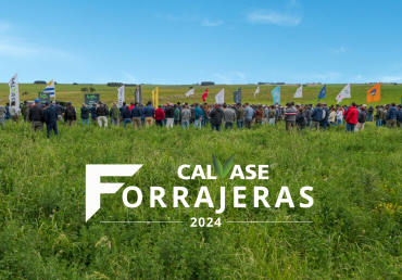 Forrajeras Calvase 2024