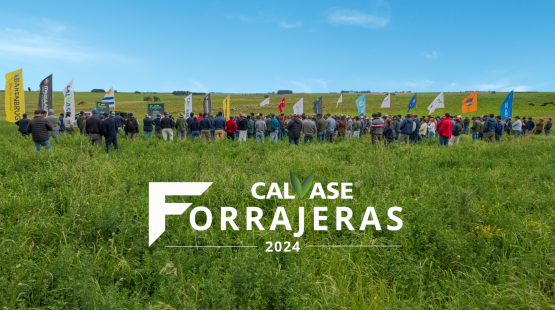 Forrajeras Calvase